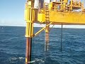 Abbot Point - 08/05/08 - PM