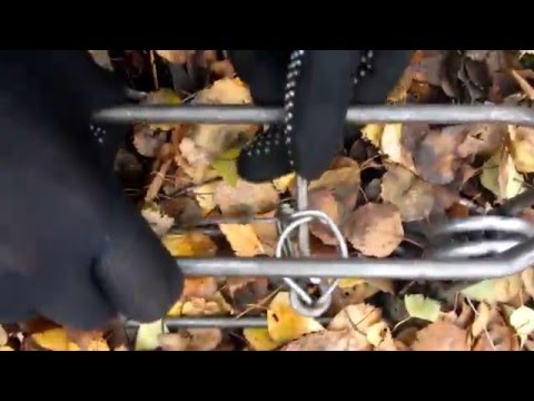 ловля барсука на проходной капкан ловля барсука на проходной капкан