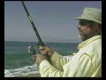 Catch a roosterfish with me!
