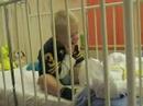 Yoran na grote aanval in november 2006 (2)