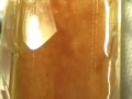 Hydrogen Tap (FOCUS- PM2) 332