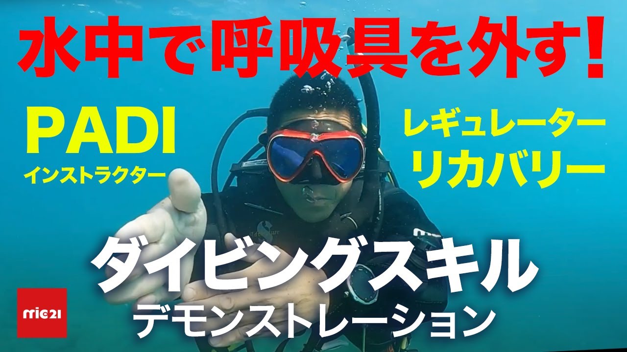 スキューバダイビング、レギュレーダー2本セット ふるい