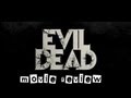 Evil Dead 2013 Remake) Review