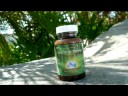 Crazy Diet Pill Experiment with Hoodia Prime (part 1) Crazy Diet Pill Experiment with Hoodia Prime (part 1)