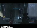 Swat Exterminat