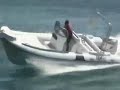Beluga 24 Beluga 24