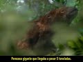 Daireaux prehistorico Daireaux prehistorico