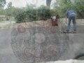 videos de Skateboard: Ollie Variations