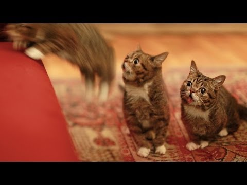 BUB JUMPS