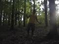 videos de These Trees Have Eyes