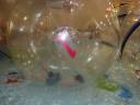 Fantastic Ball Cair e Levantar.wmv