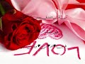يارا سكر زياده