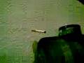 hombre invisible