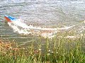 BALAENOPTERA MUSCULUS e bay rc toy fast boat( raw footage)