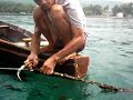 seaweed farm - cleaning of monoline seaweed farm - cleaning of monoline
