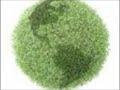 Goin Green Reality Ain\ Goin Green Reality Ain\