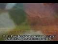 videos de La Frecuencia 11.11 de unidad