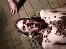 300 Cicadas Dumped Over Body 300 Cicadas Dumped Over Body