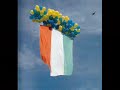 hellas verona