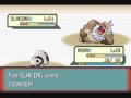 The Ultimate Gamer's Diary of a Pokémon Trainer - Ep.044 - Father Vs. Son