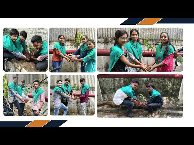 tree plantation 2025 