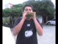 bto oja bto oja