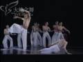 the Cloud Gate Dance Theatre -water moon(dance)