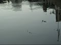 Les Ailes du Temps