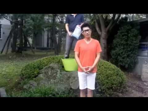 Imagen de previsualización de YouTube