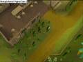 n00bywood-Meeting Runescape
