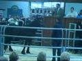 Beeston Horse sales May 2009
