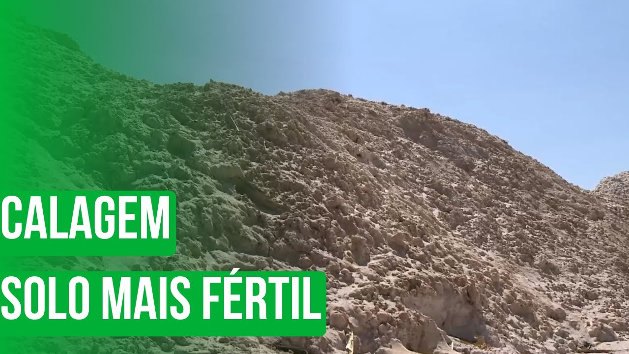 Calagem: Solo mais fértil