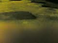 Thumbnail #3