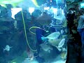 Kemah Boardwalk Aquarium