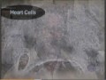 Thumbnail #1
