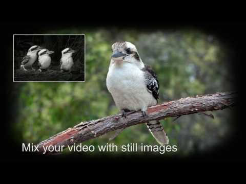 PicturesToExe Demo 9