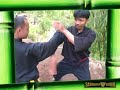 Pamacan, the Javanese tiger fighting system Mpeg2