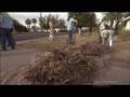 Sundance Channel - Grow - Xeriscape