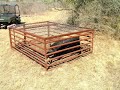 texas hog hunt 2006