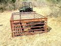 texas hog hunt 2006