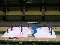 Viewmont High School Winterguard