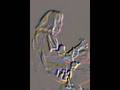 videos de Ryo Kawasaki plays Ornette Coleman