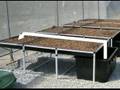 Basic Aquaponics System