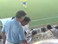 Panaitolikos vs Pas Giannena (Kougias Special)