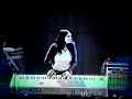 Sweet euphoria live - Chris Cornell 1999