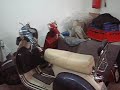 El local de C&V