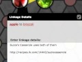 The Glass Bead Network: Bounding Rule