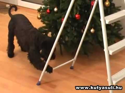 Image de prévisualisation YouTube