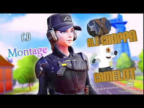 動画