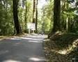 Motorcycles north thailand - Doi Inthanon - אופנועים בתאילנד